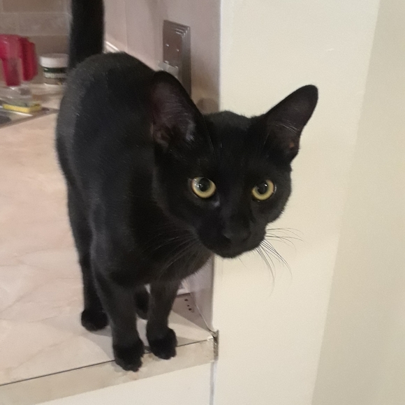 Meet your Posher, Johann - Picture 2 of 8